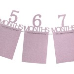 Photos banner, for babies, from 1 to 12 months, pink color